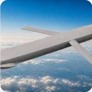 top-news
